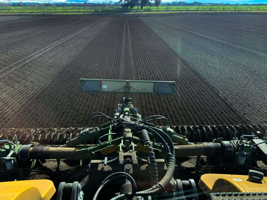 Onion planting Apatu FarmsApatu Farms