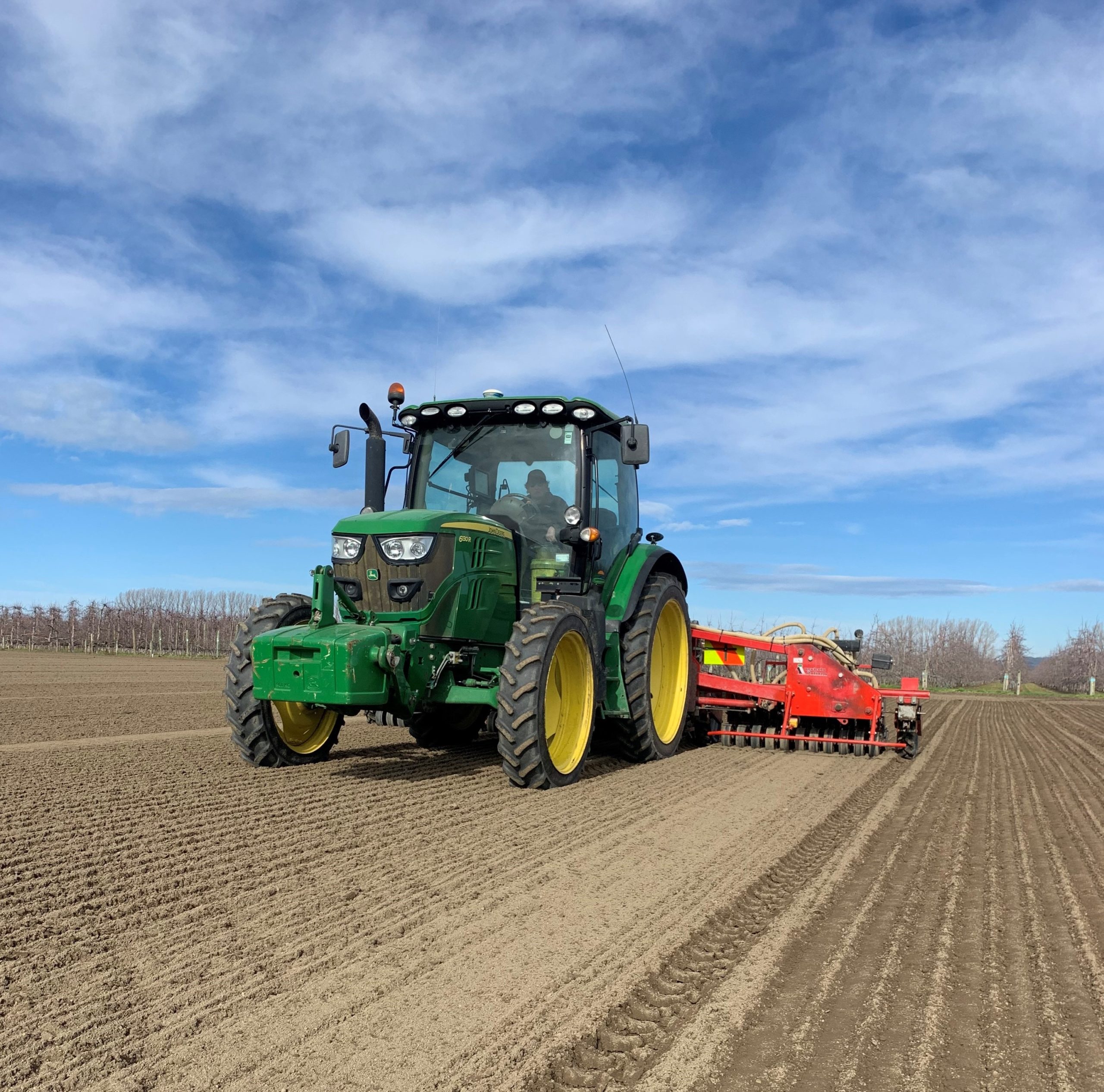 New season Onions! Apatu FarmsApatu Farms